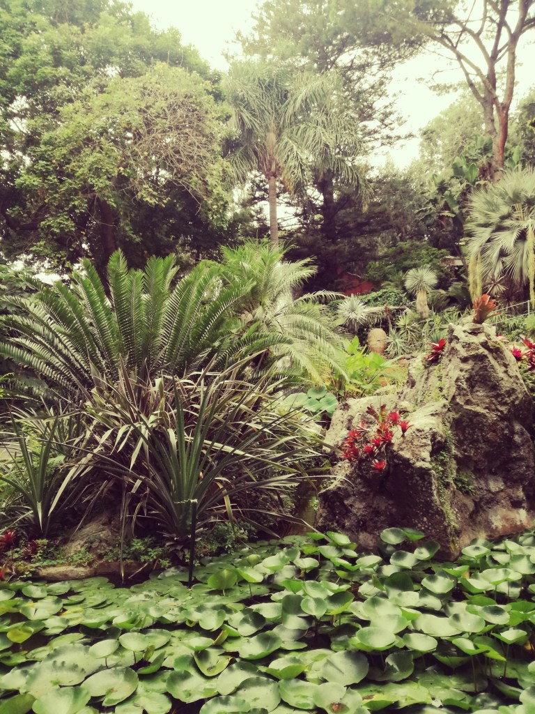 Wonderful garden in Forio, Ischia